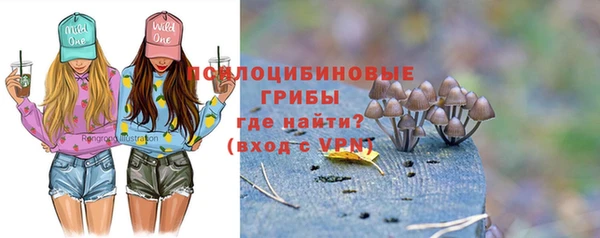 МДПВ Богородицк