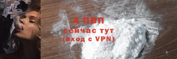 таблы Богданович
