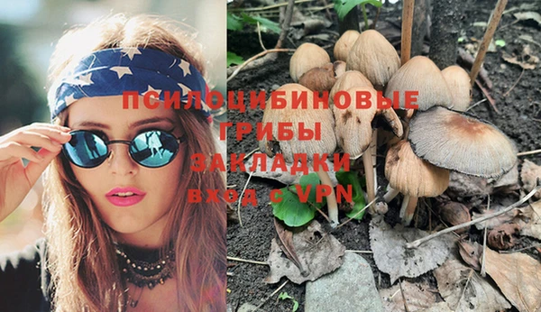таблы Богданович