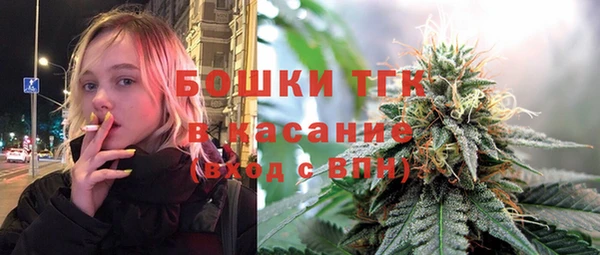 МДПВ Богородицк