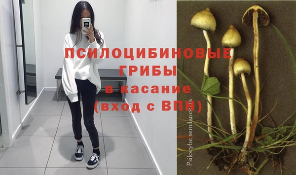 кристаллы Покровск
