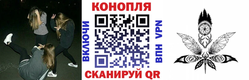 Купить закладки  Кувшиново  Бошки Шишки THC 21% 
